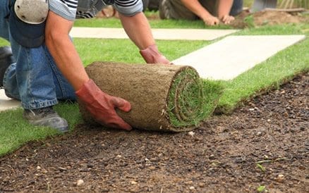 Goed voorbereidend werk is essentieel voor het goed "aanslaan" van een nieuwe grasmat.